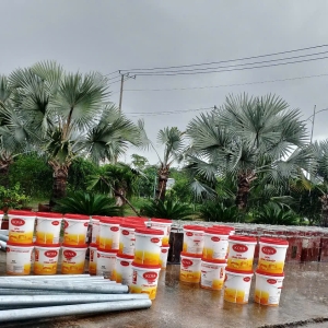 NHỮNG DÒNG SƠN ĐANG ĐƯỢC BÁN TẠI CỬA HÀNG SƠN ĐỨC HUY PHÚ DĨ AN TPHCM 